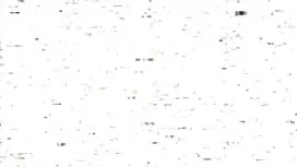 Due studenti adolesc ...