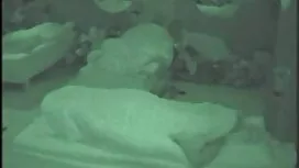 L'uomo ha portato er ...