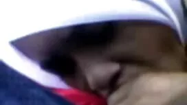 Procace Alison Tyler ...