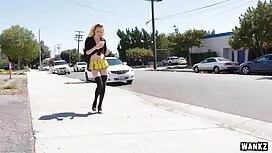 Cagna splendida Lecc ...