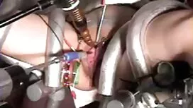 Quella stronza dovre ...