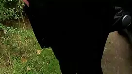 Bisex giovane dai Ca ...