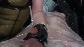 Blondie Holly cuore  ...