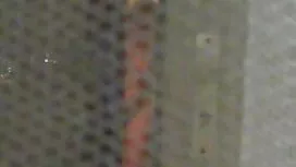 Una giovane bruna su ...