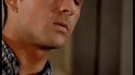 DP Brune splendida f ...