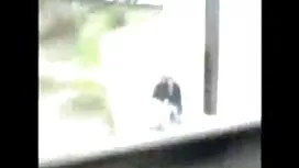 Tizio scopare una ca ...